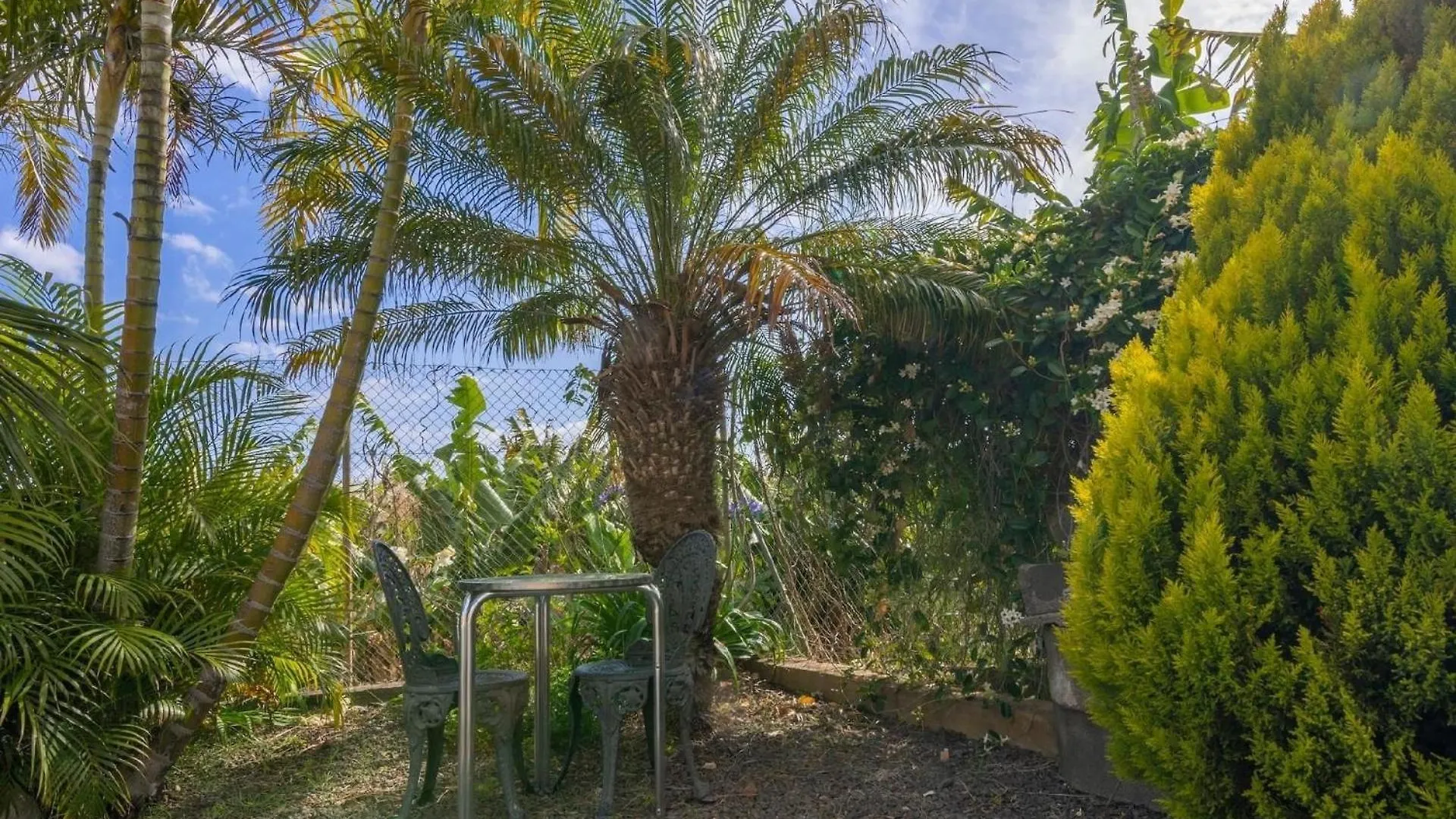 Ferienhaus Mit Privatpool Fuer 3 Personen Ca 50 Qm In Puerto De Tazacorte, La Palma Westkueste Von La Palma 0*, Tazacorte